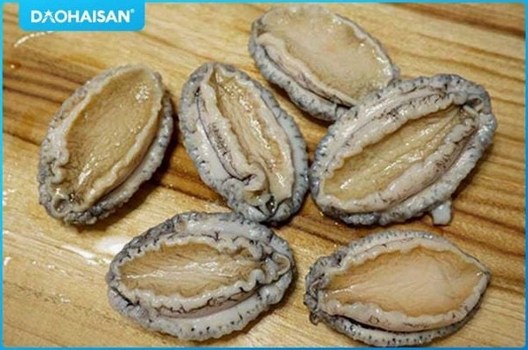 Bào ngư tươi sống thơm ngon sau khi được làm sạch