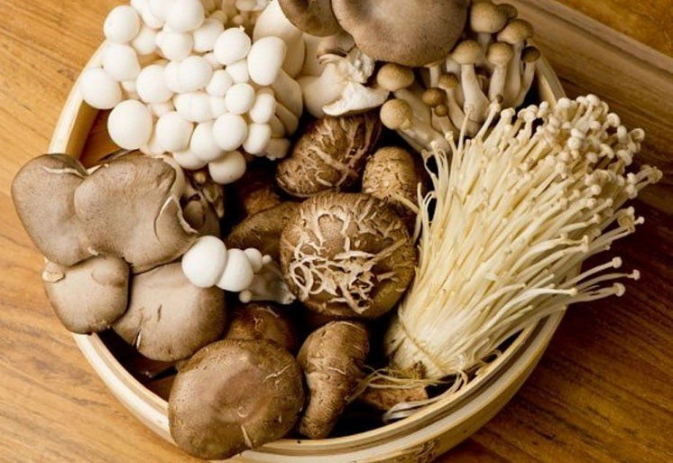 Bảo quản nấm tươi trong tủ lạnh có thể giữ được đến một tuần