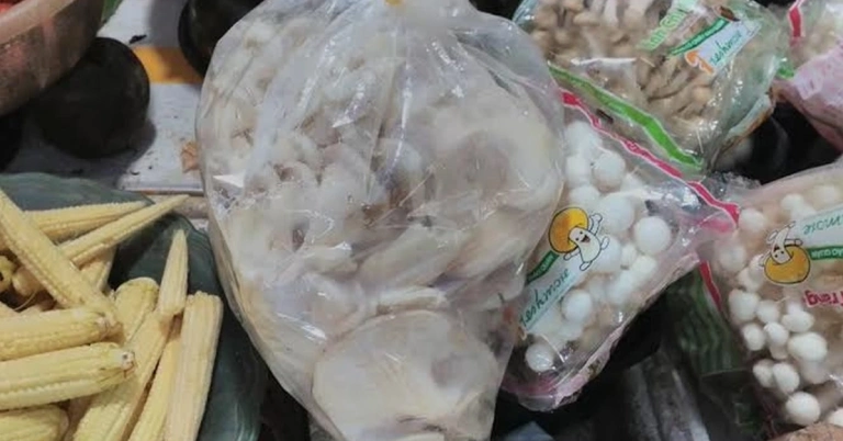 Bật mí cách bảo quản nấm tươi lâu siêu đơn giản tại nhà