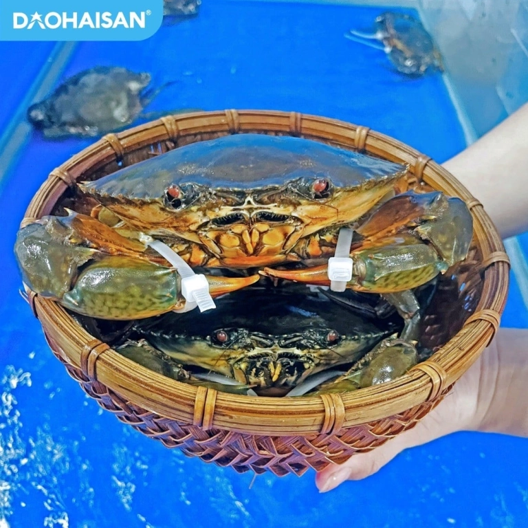 Bật mí cách chọn cua đồng tươi ngon chắc thịt đẫm gạch cực chuẩn