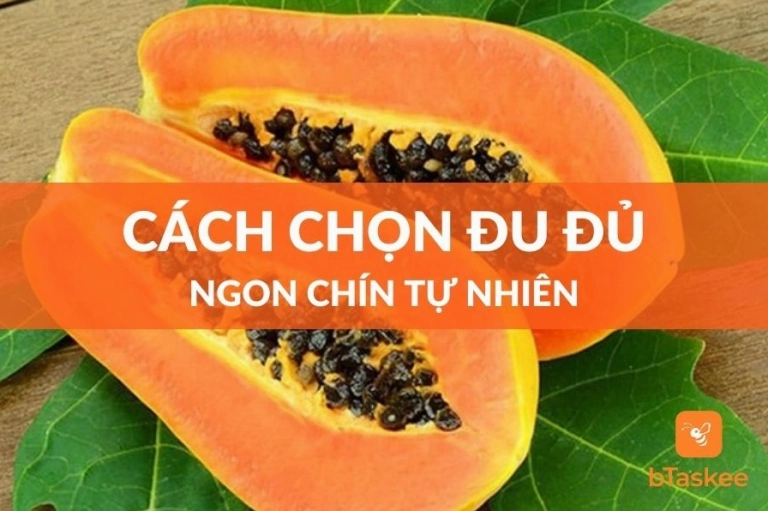 Bật Mí Cách Chọn Đu Đủ Chín Cây Thơm Ngon Bổ Dưỡng