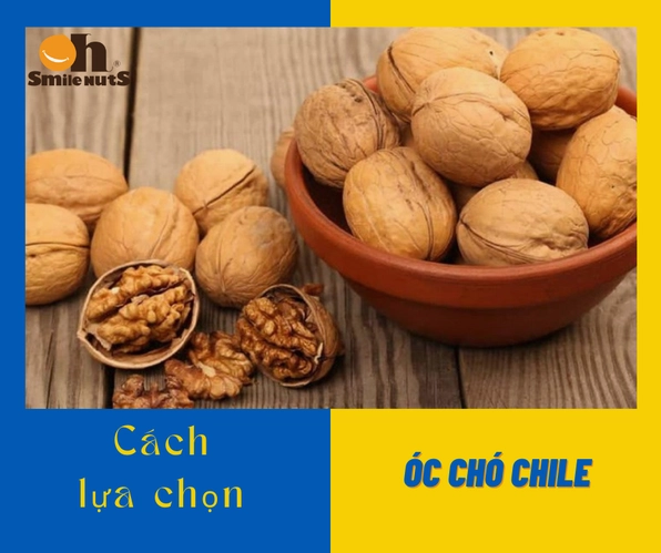 Bật Mí Cách Chọn Hạt Óc Chó Ngon Cực Đơn Giản Dành Cho Bạn