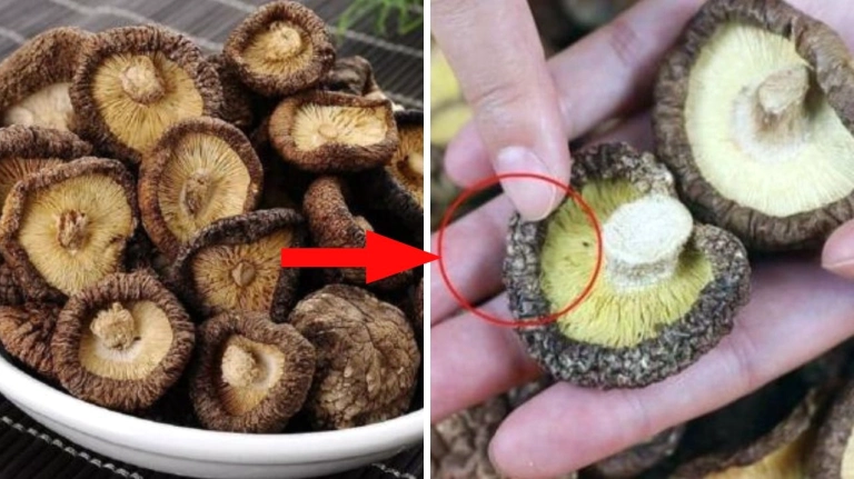 Bật mí cách chọn nấm hương khô ngon chuẩn vị cho mọi nhà