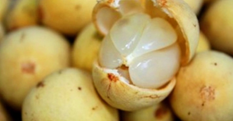 Bật Mí Cách Chọn Quả Bòn Bon Ngon Ngọt Không Hóa Chất