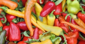 Bật mí cách thái ớt không bị cay tay đơn giản mà cực kỳ hiệu quả