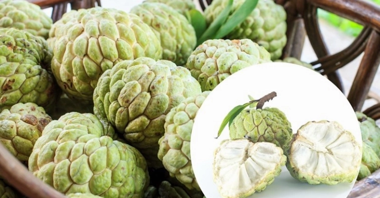 Bí quyết cách chọn na ngon ngọt ít hạt không bị giòi cực chuẩn