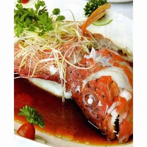 Bí quyết cách làm cá mú đỏ hấp xì dầu mềm ngọt khó cưỡng