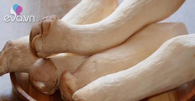Bí Quyết Mua Nấm Đùi Gà Ngon Người Trồng Bật Mí