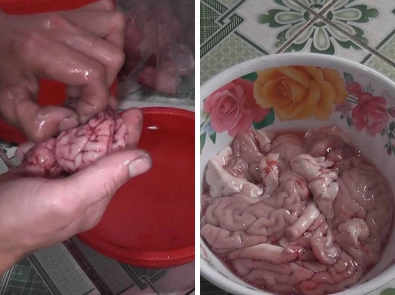 Bước sơ chế óc chim kỹ lưỡng trước khi mang đi hấp