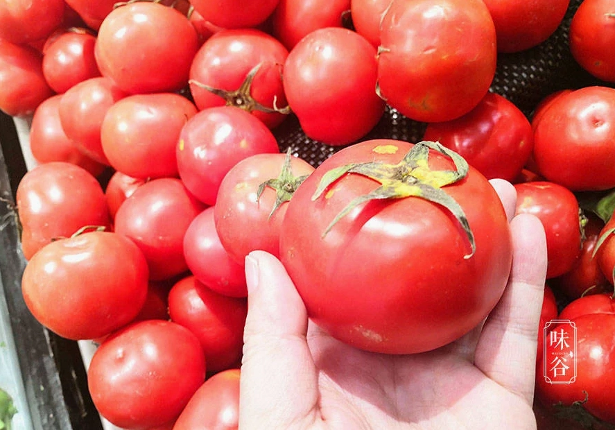 Cà chua tươi ngon vỏ mỏng nhiều thịt