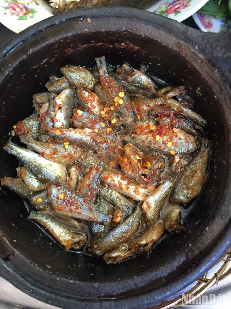 Cá linh non tươi rói chuẩn bị để kho mía