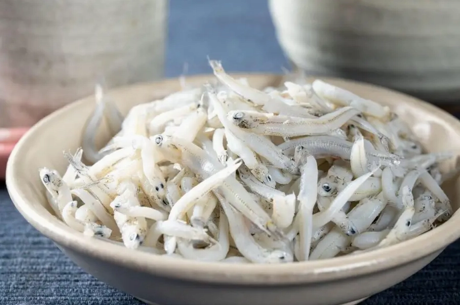 Cá mai tươi sống vừa được đánh bắt mang vẻ đẹp trong suốt