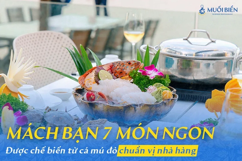 Cá mú đỏ tươi sống bơi trong bể kính chuẩn bị được chế biến