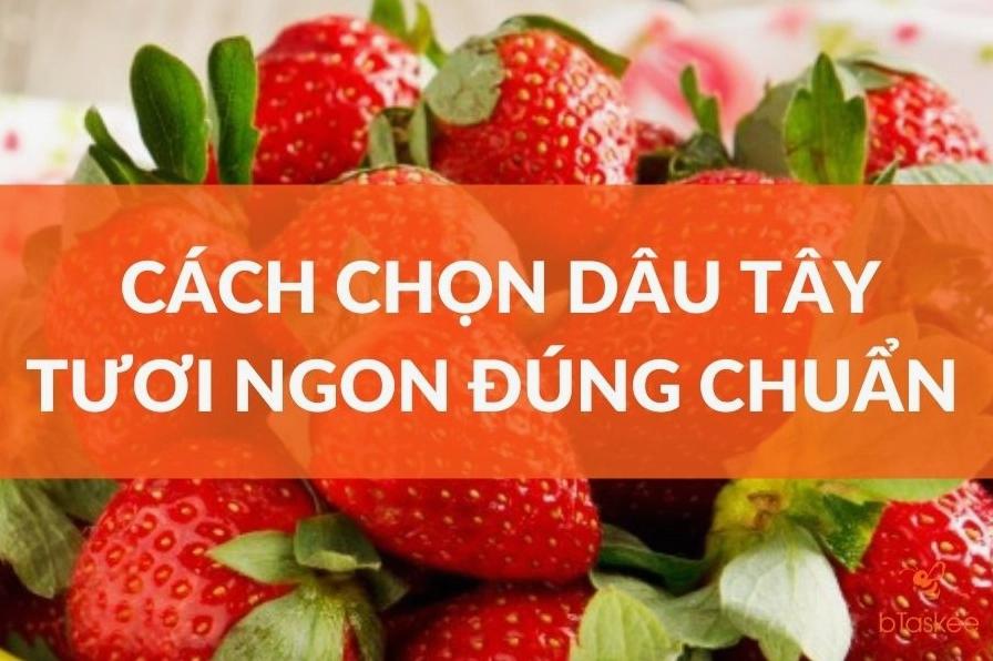 Cách chọn dâu tây tươi ngon chín mọng