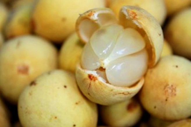 Cách chọn mua trái bòn bon ngon không hóa chất và an toàn