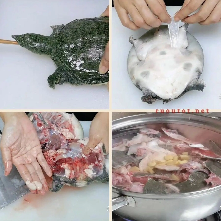 Cách làm ba ba sạch sẽ không bị tanh