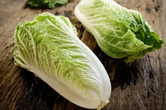 Cải thảo tự nhiên có kích thước vừa phải