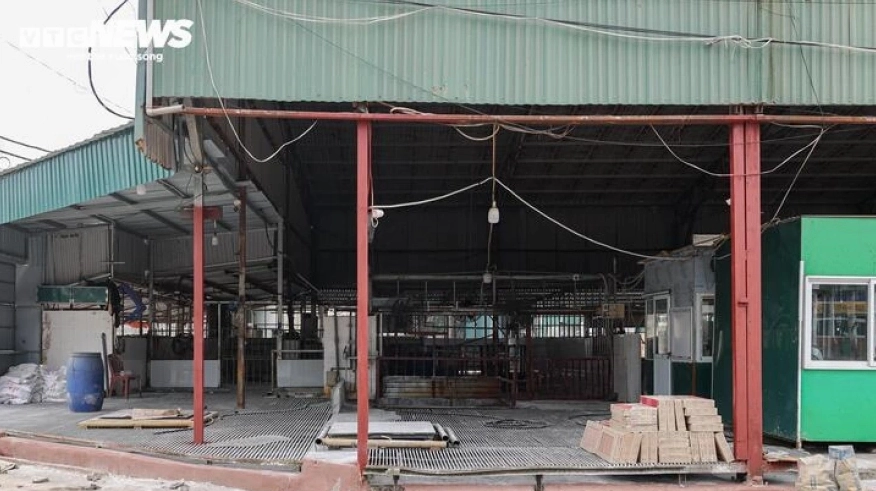 Chén mắm tôm hoàn thiện rưới mỡ hành tỏi phi bóng bẩy