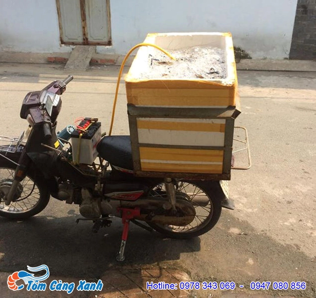 Chuẩn bị những con tôm càng xanh tươi ngon để làm món nướng