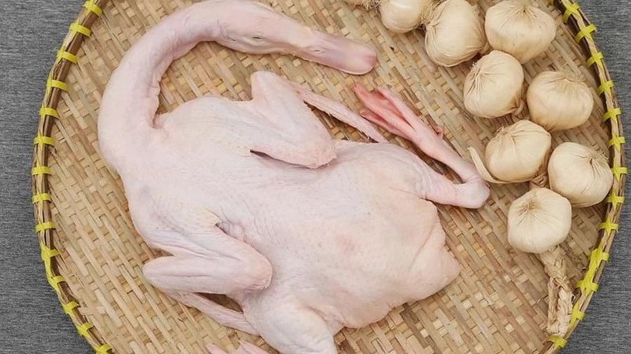 Con vịt sống khỏe mạnh có bộ lông mượt mà và ức nở to