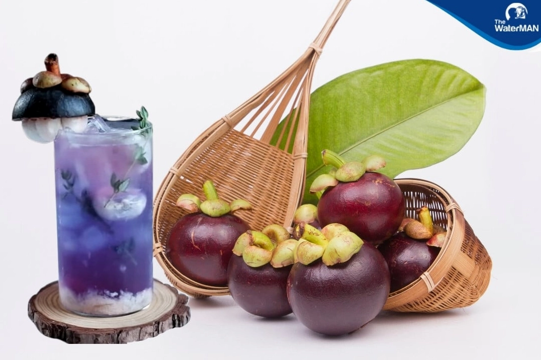 Công thức trà măng cụt bắt miệng so với những loại trà khác