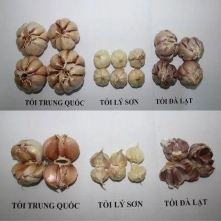 Đặc điểm dễ nhận biết của tỏi Trung Quốc là kích thước lớn và vỏ dễ bóc