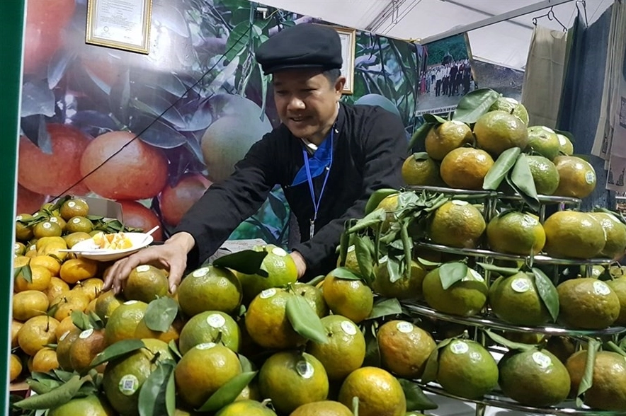 Để chọn cam ngon cũng cần có cách