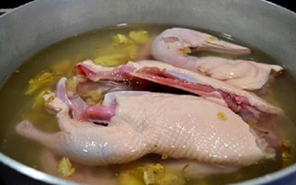 Đĩa gỏi vịt bắp cải trộn đều màu sắc bắt mắt vô cùng hấp dẫn