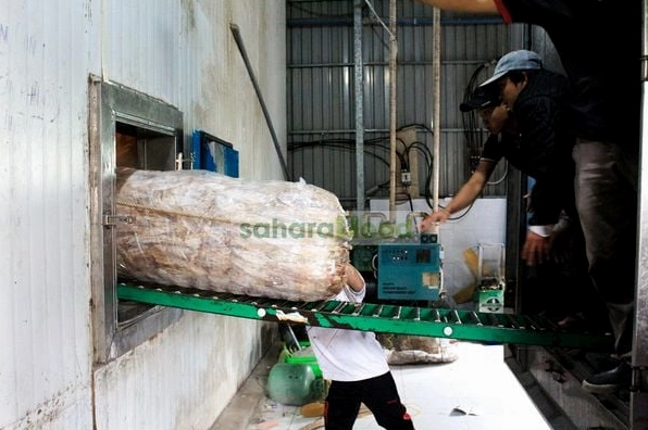 Đóng gói và đưa mực khô vào kho lạnh bảo quản