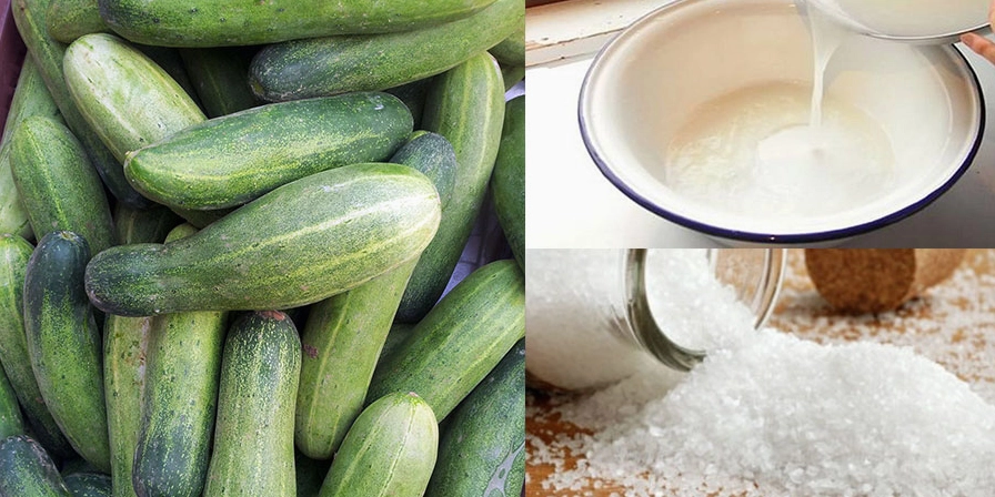 Dưa chuột muối chua ngọt nguyên trái hấp dẫn không bị nổi váng