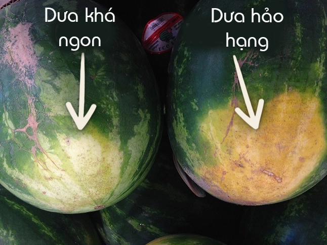Dưa hấu vỏ mỏng ruột đỏ cắt lát ngon mắt