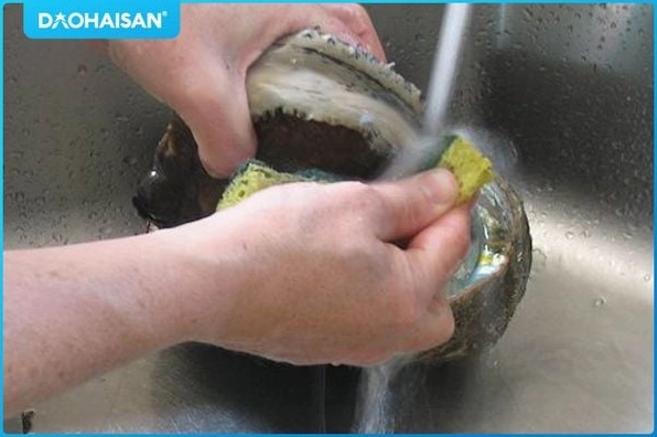 Dùng muỗng tách phần cồi thịt bào ngư ra khỏi vỏ