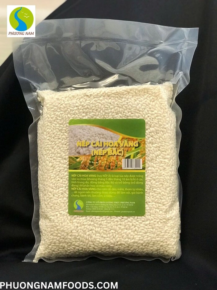 Hạt gạo nếp cái hoa vàng mẩy tròn đều đẹp mắt