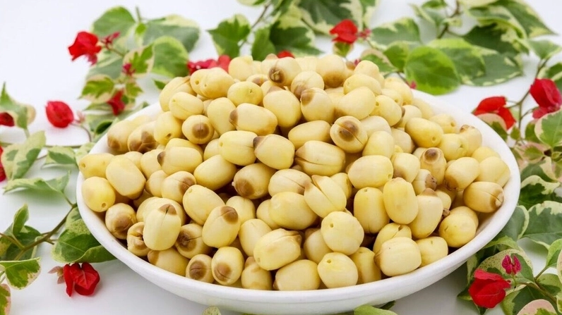 Hạt sen tươi chứa nhiều protein kali và phốt pho rất tốt cho sức khỏe