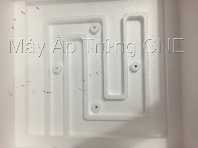 Hệ thống máy ấp trứng chuyên dụng đảm bảo chất lượng trứng vịt lộn
