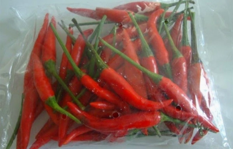 Hộp ớt tươi được lót giấy ăn cẩn thận chuẩn bị cho vào ngăn mát tủ lạnh