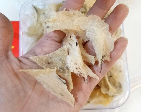 Hướng dẫn cách lựa chọn yến sào khánh hòa chất lượng