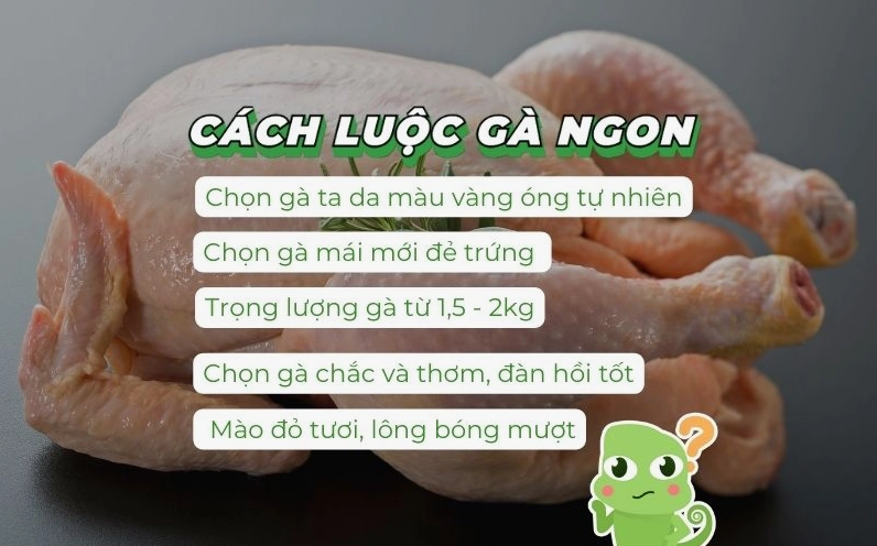 Hướng dẫn chọn gà luộc ngon