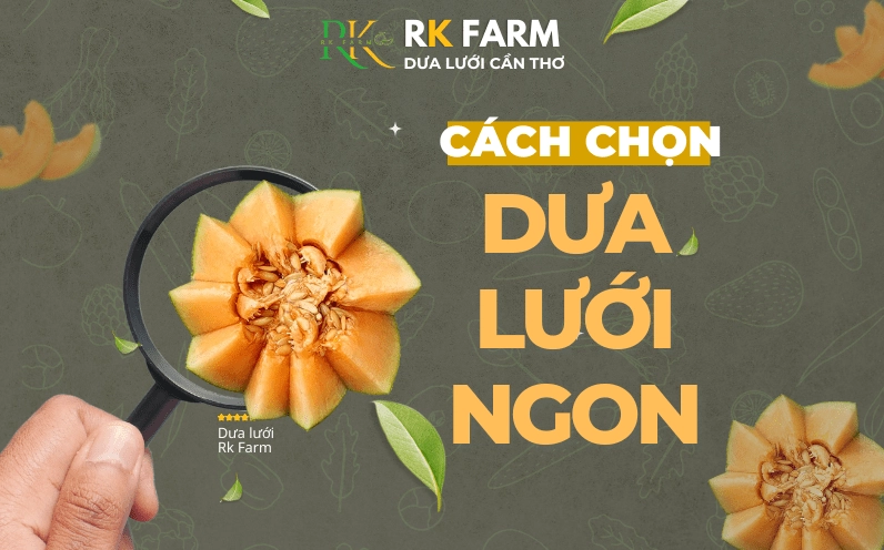 Kiểm tra phần cuống dưa lưới để biết độ chín