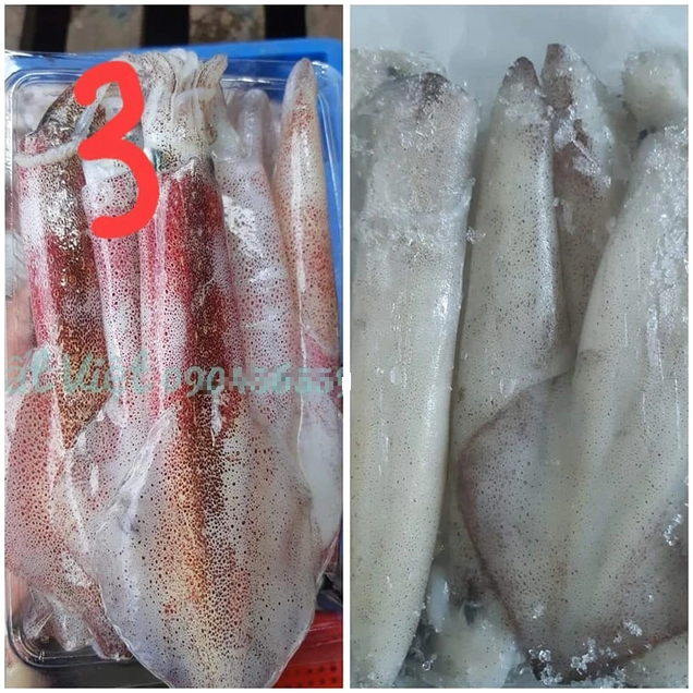 Kiểm tra phần râu mực đảm bảo chúng vẫn gắn chặt vào phần đầu