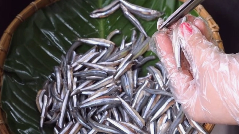 Làm sạch cá cơm