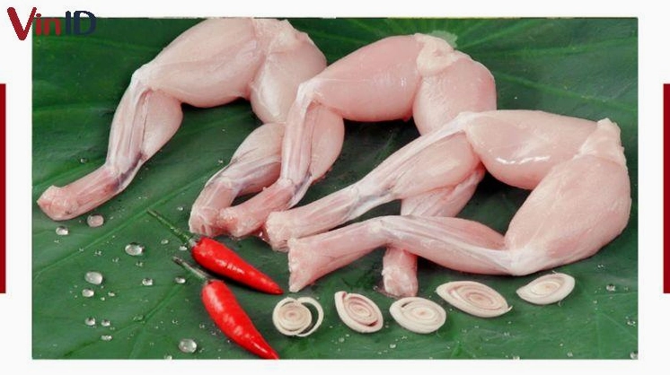 Lựa chọn những con ếch tươi ngon nhất để chế biến món ăn