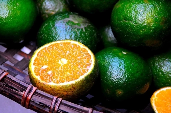 Ly nước cam vắt tươi mát thơm ngon chuẩn vị