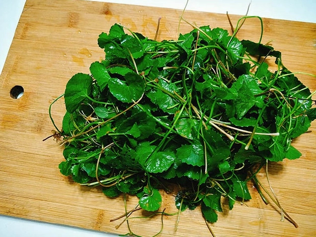 Ly rau má pha sữa đặc thơm ngon thanh mát