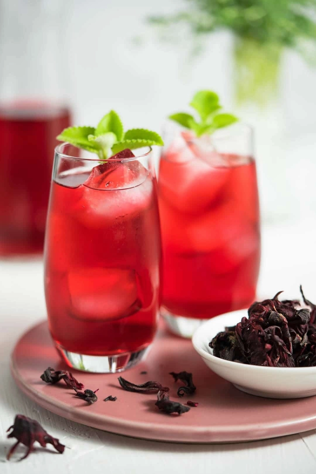 Ly trà thảo mộc màu sắc đẹp mắt