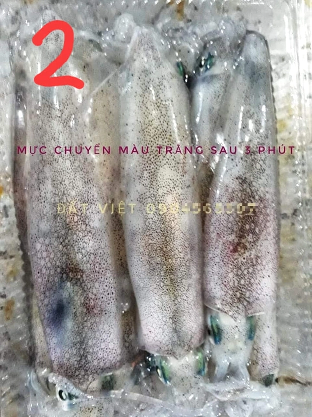 Mực tươi có đôi mắt trong veo và không bị lồi hay chảy dịch