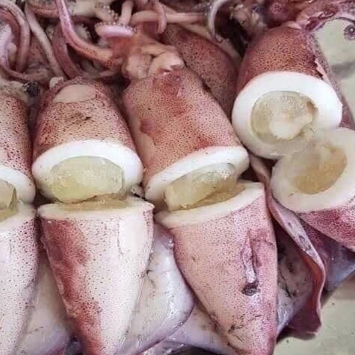Mực tươi sống được bày bán tại chợ hải sản cùng với nhiều loại hải sản khác