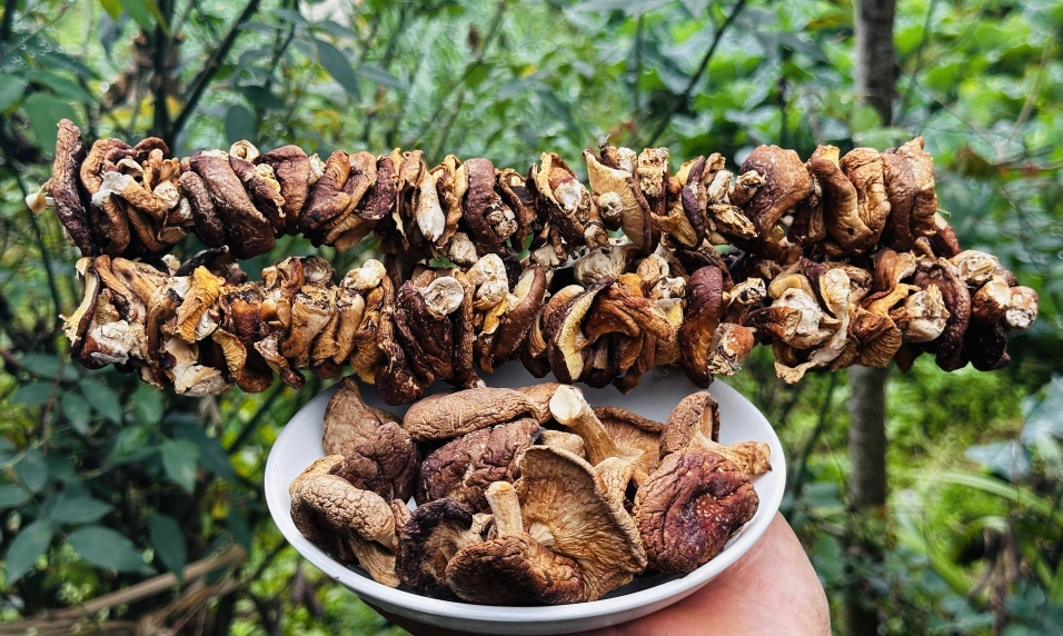 Nấm hương khô dùng làm nguyên liệu không thể thiếu cho món nem rán