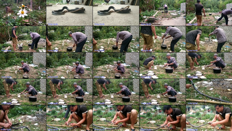 Nguyên liệu cần thiết để làm món rắn xào lăn
