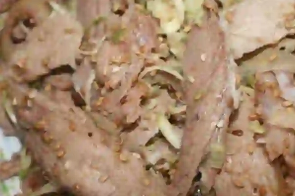 Nguyên liệu chính làm món dê ủ trấu